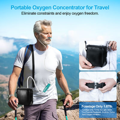 Portatile e rumoroso 45DB Un concentratore di ossigeno per la salute